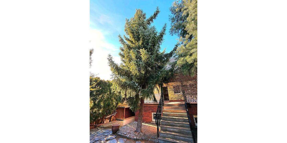 Reihenhaus Eisenhüttenstadt - 6 Zimmer, 161 m&sup2;, 319.000&euro; | Angebot:26763239