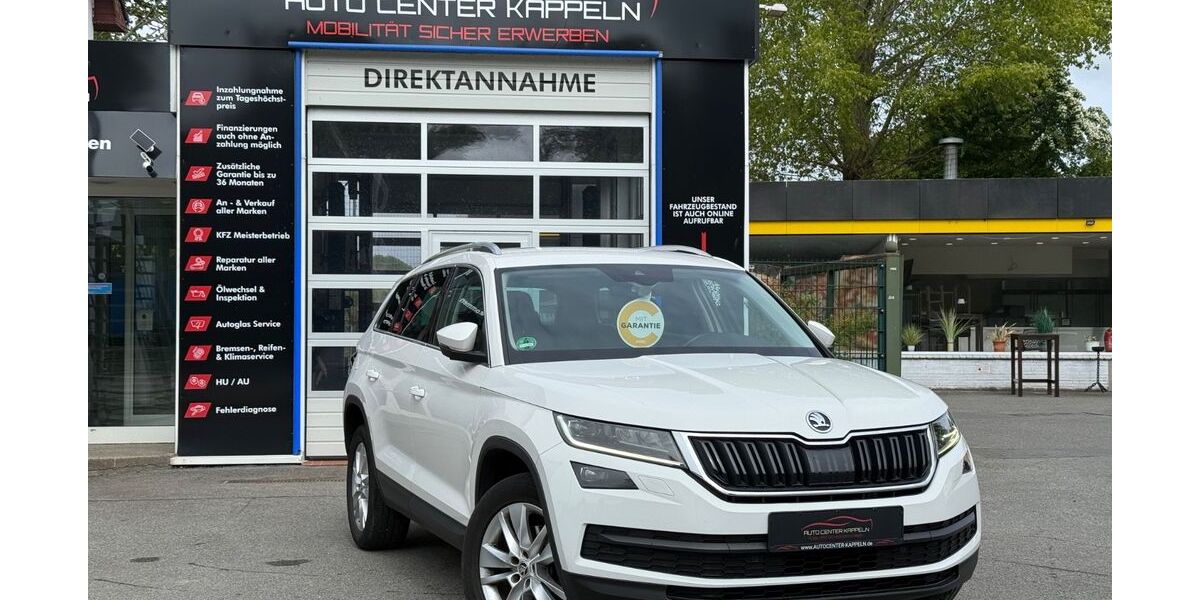 Skoda Kodiaq 199.250 km 17.990 &euro; Kappeln 24376