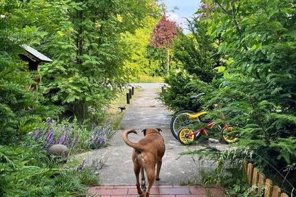 Sanierter Wohlfühlhof: Brunnen, Wilkräuter und Weintrauben 6 zimmer