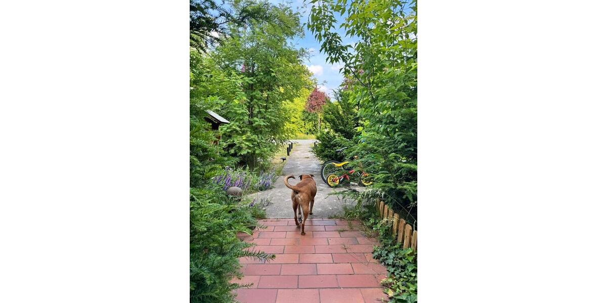 Sanierter Wohlfühlhof: Brunnen, Wilkräuter und Weintrauben 6 zimmer