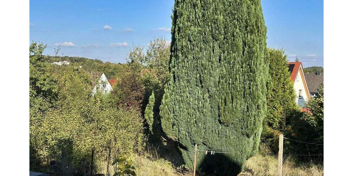 Zweifamilienhaus mit Ausblick - viel Platz für neue Wohnideen 6 zimmer