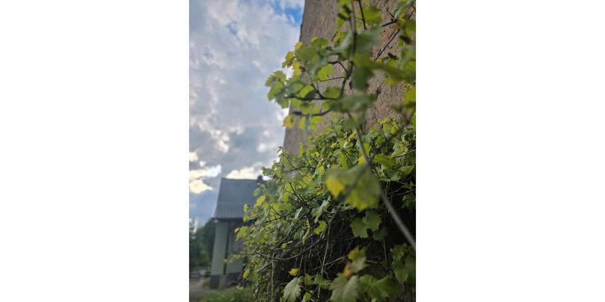 Einfamilienhaus Bad Liebenwerda - 115.000&euro; | Angebot:26624028