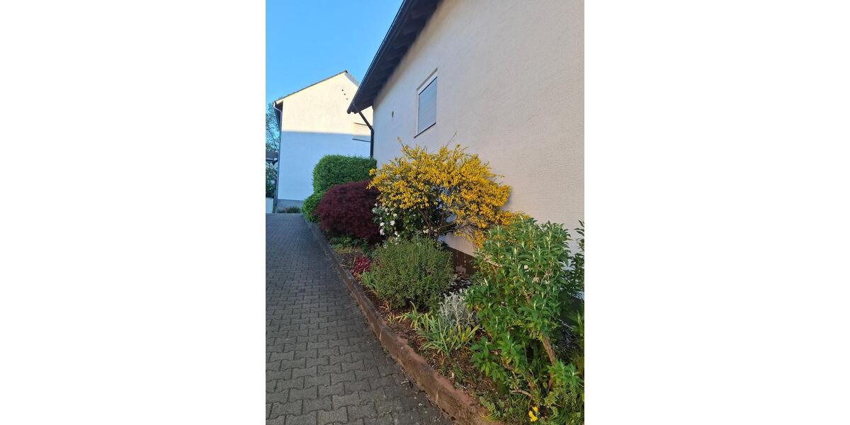 Erdgeschoßwohnung Becherbach - 4 Zimmer, 105 m&sup2;, 650&euro; | Angebot:26408063