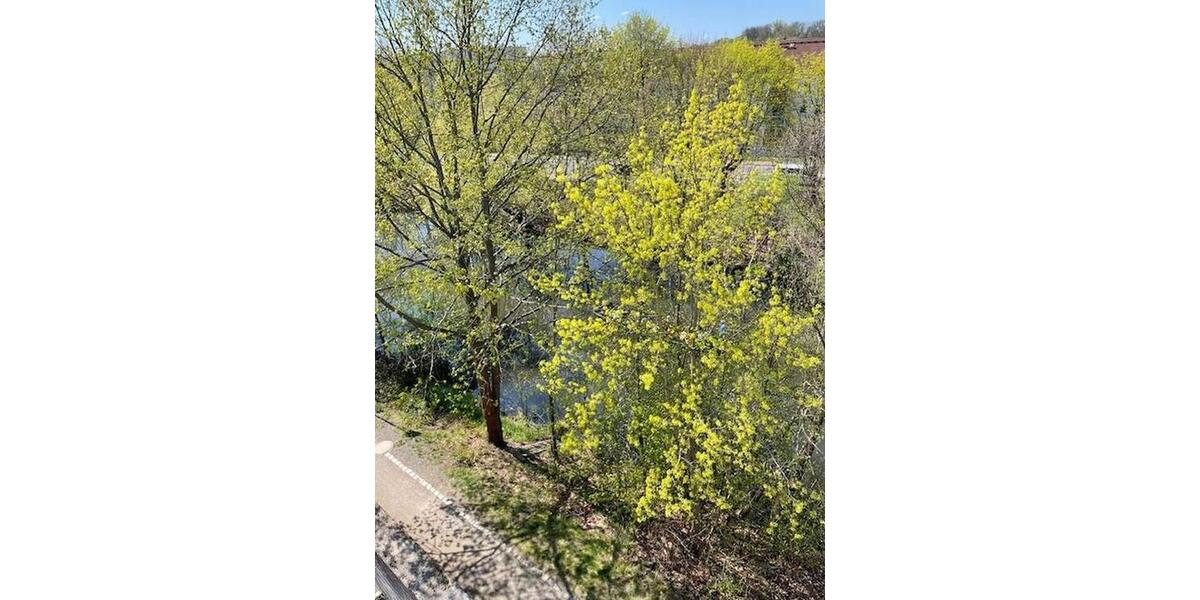 Maisonettenwohnung Lübben (Spreewald) - 5 Zimmer, 85 m&sup2;, 1.275&euro; | Angebot:26348802