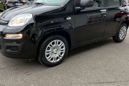 Fiat Panda 1.500 km 14.490 &euro; Bünde 32257