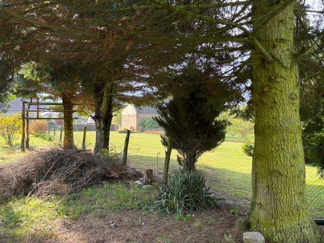 Grundstück Planebruch Oberjünne - 125.000&euro; | Angebot:25770013