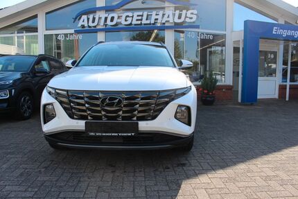 Hyundai TUCSON 34.000 km 33.400 € Bösel 26219