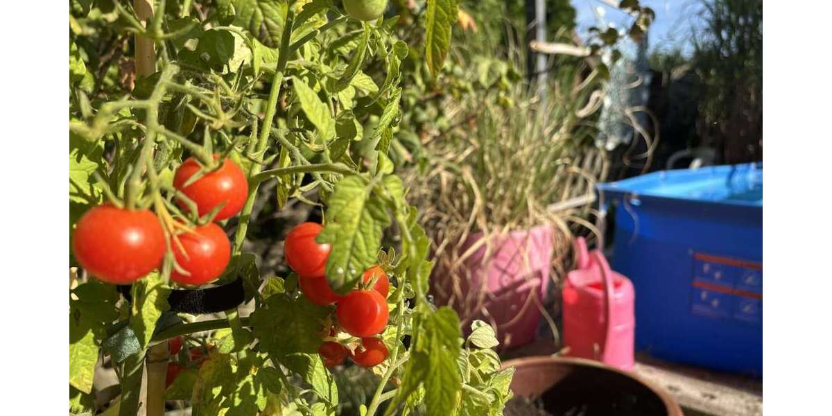 Ein Platz zum Ankommen – großzügige Doppelhaushälfte mit Traumgarten 5 zimmer