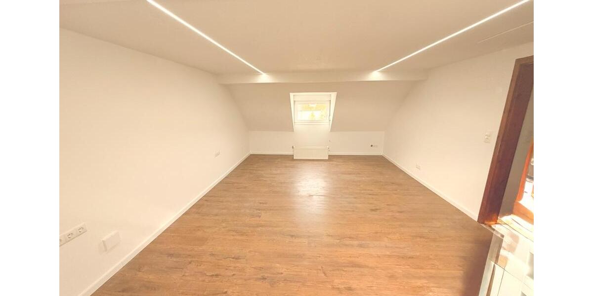 Erdgeschoßwohnung Ludwigshafen am Rhein Parkinsel - 1 Zimmer, 50 m&sup2;, 600&euro; | Angebot:26674627