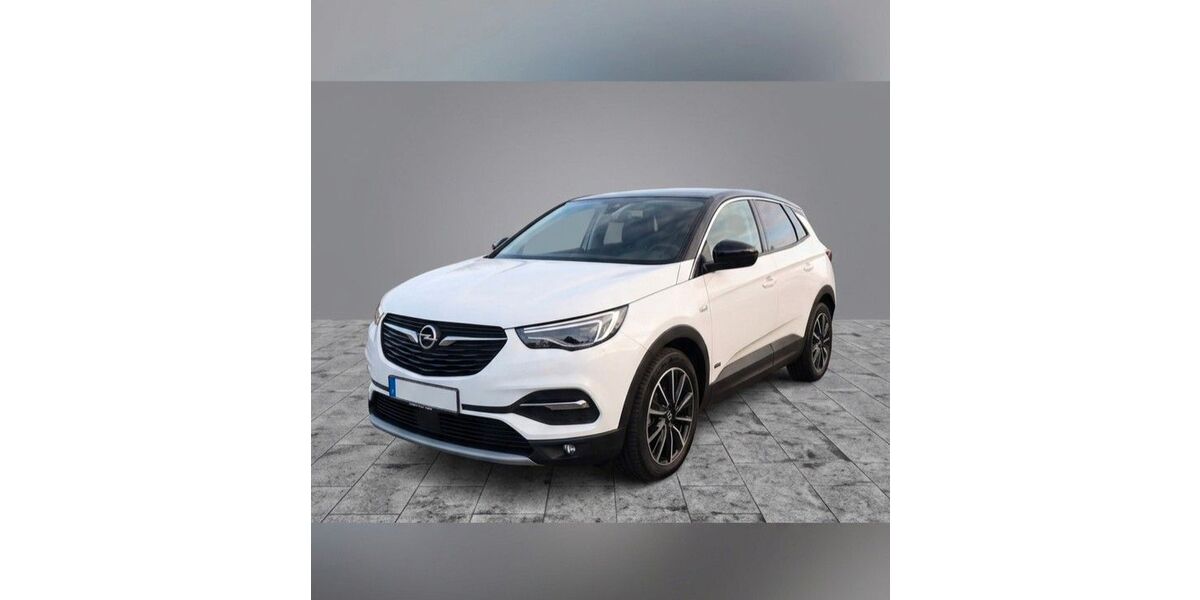 Opel Grandland (X) 45.000 km 17.500 &euro; Villingen-Schwenningen 78054