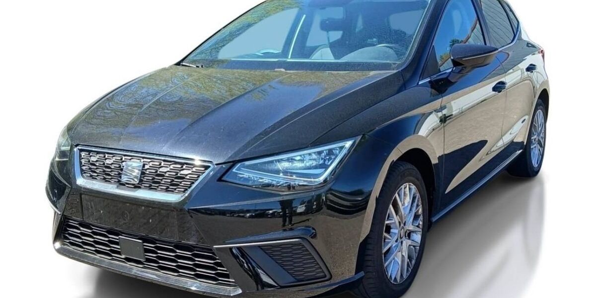 Seat Ibiza 123.456 km 7.498 &euro; Dessau-Roßlau 06847