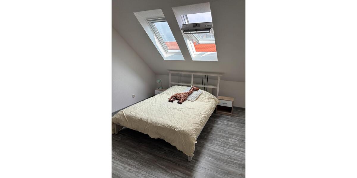 Dachgeschoßwohnung Erfurt Andreasvorstadt - 2 Zimmer, 60 m&sup2;, 600&euro; | Angebot:25640175