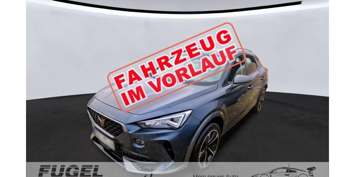 Cupra Formentor 47.280 km 23.999 &euro; Chemnitz - Mittelbach 09224