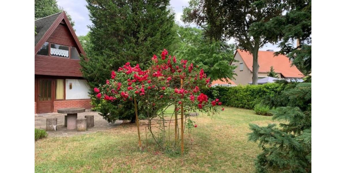 Einfamilienhaus Torgau - 3 Zimmer, 120 m&sup2;, 130.000&euro; | Angebot:25405334