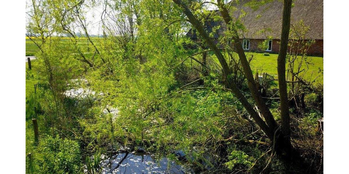 Etagenwohnung Tönning - 3 Zimmer, 109 m&sup2;, 219.000&euro; | Angebot:25672920