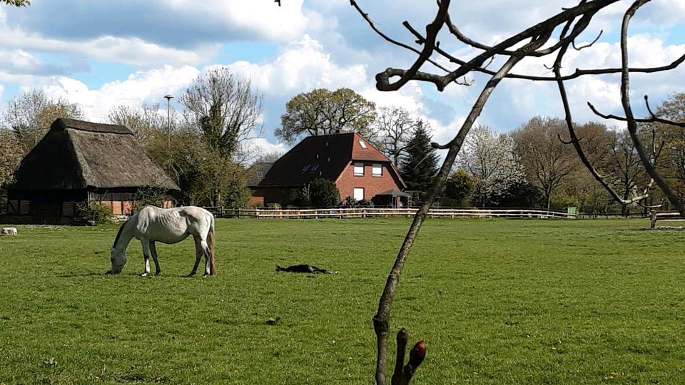 Etagenwohnung Schwanewede - 3 Zimmer, 70 m&sup2;, 490&euro; | Angebot:24653580