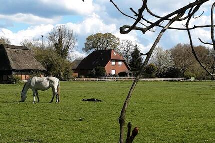 Wohnung Schwanewede - 3 Zimmer, 70 m&sup2;, 490&euro; | Angebot:24653580