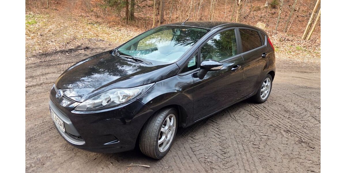 Ford Fiesta 127.000 km 3.600 &euro; Großrückerswalde 09518