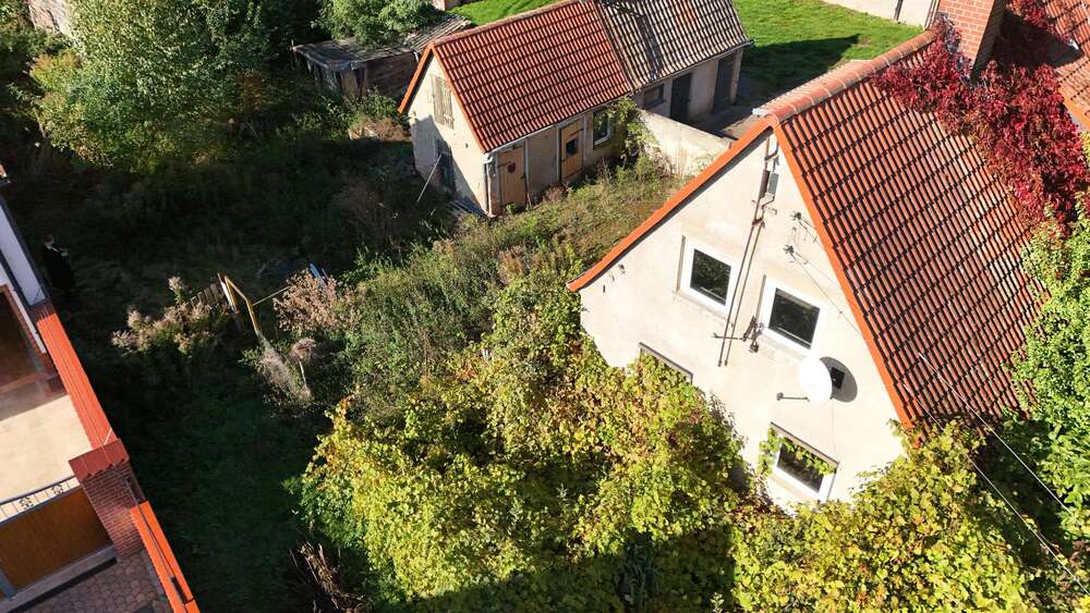 Selbstverwirklichung auf 2.619 qm großem Grundstück + im Umkreis von Halle (Saale) 3 zimmer