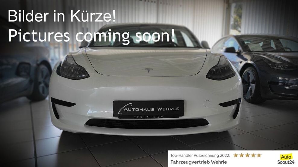 Tesla Model 3 131.900 km 23.990 € Gundelfingen bei Freiburg 79194
