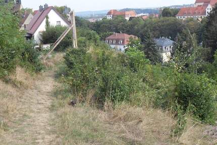 Grundstück Meißen - 950.000&euro; | Angebot:24558493