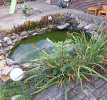 Mehrfamilienhaus, Wohnhaus Fürstenau - 9 Zimmer, 700 m&sup2;, 199.000&euro; | Angebot:25688017