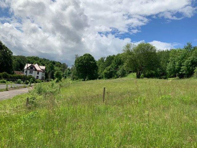 Grundstück Tiefenort Oberrohn - 150.000&euro; | Angebot:25667729