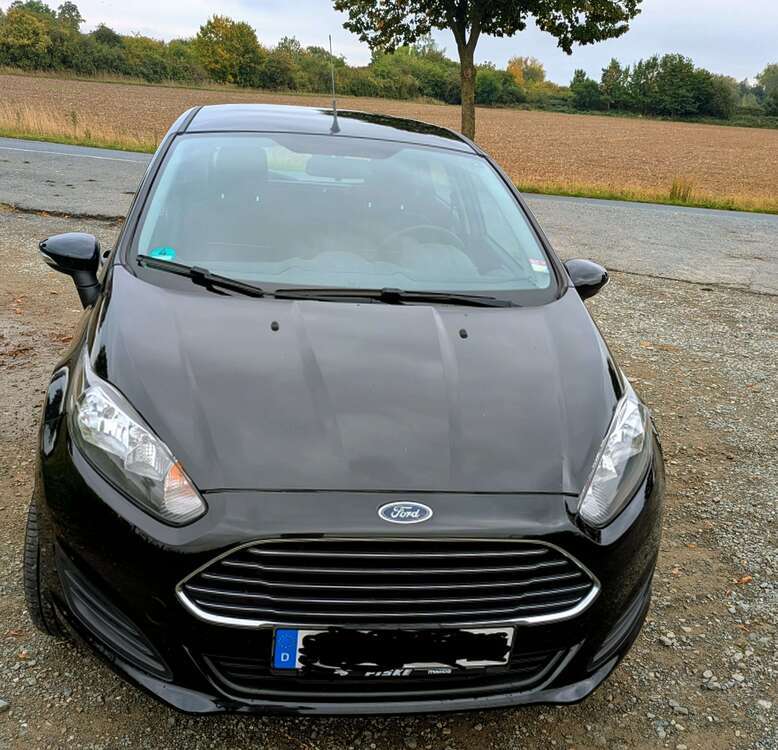Ford Fiesta 125.000 km 4.550 € Salzgitter 38259