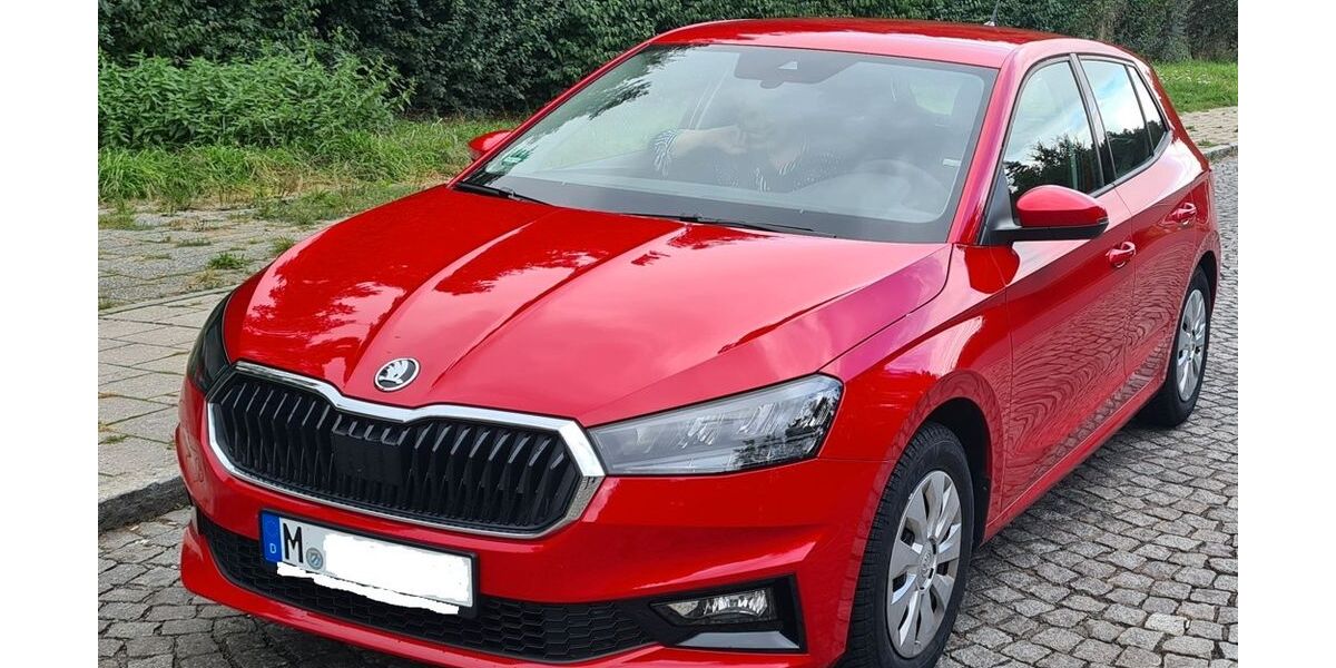 Skoda Fabia 6.800 km 14.300 &euro; München 80331