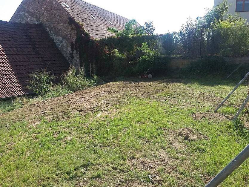 EUPORA Immobilien: Bauernhaus mit Hof, Scheune und Garten in Freimersheim bei Alzey. 6 zimmer