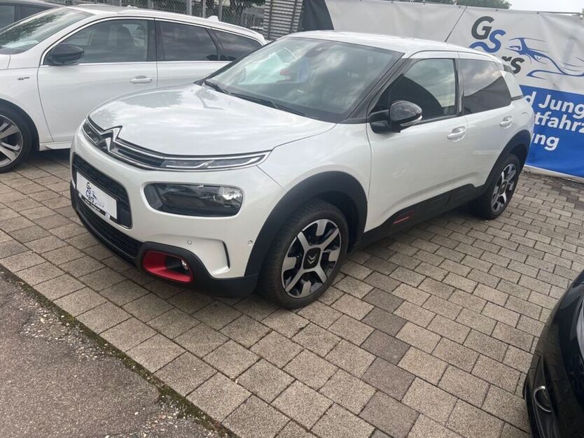 C4 Cactus