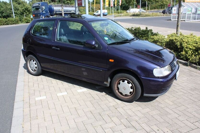 Polo