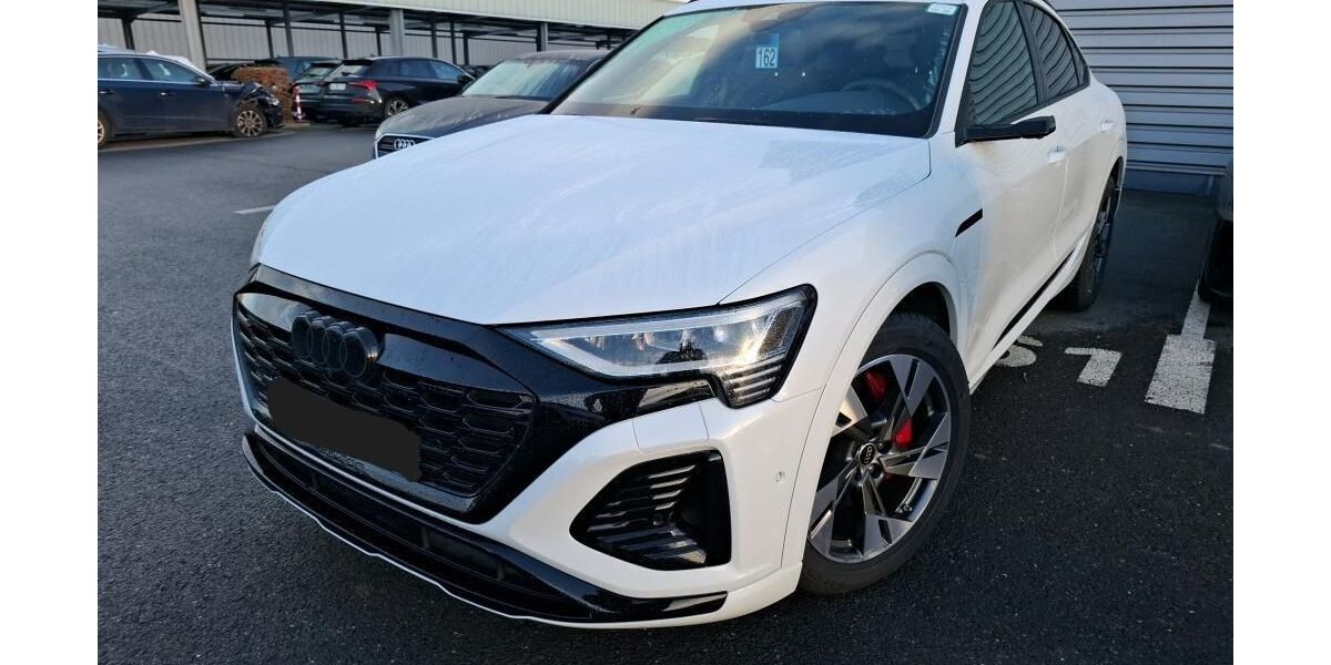 Audi Q8 e-tron 55.313 km 49.230 &euro; Hagen 58091