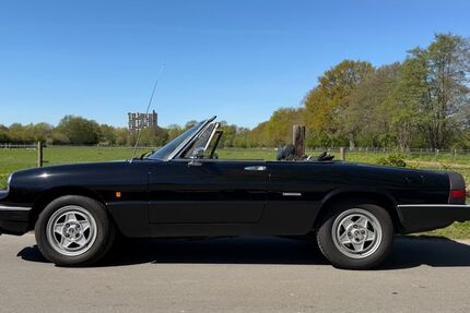 Alfa Romeo Spider 124.400 km 16.400 &euro; Hamburg 22559