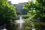 Etagenwohnung Köln Bayenthal - 2 Zimmer, 54 m&sup2;, 1.020&euro; | Angebot:26694603