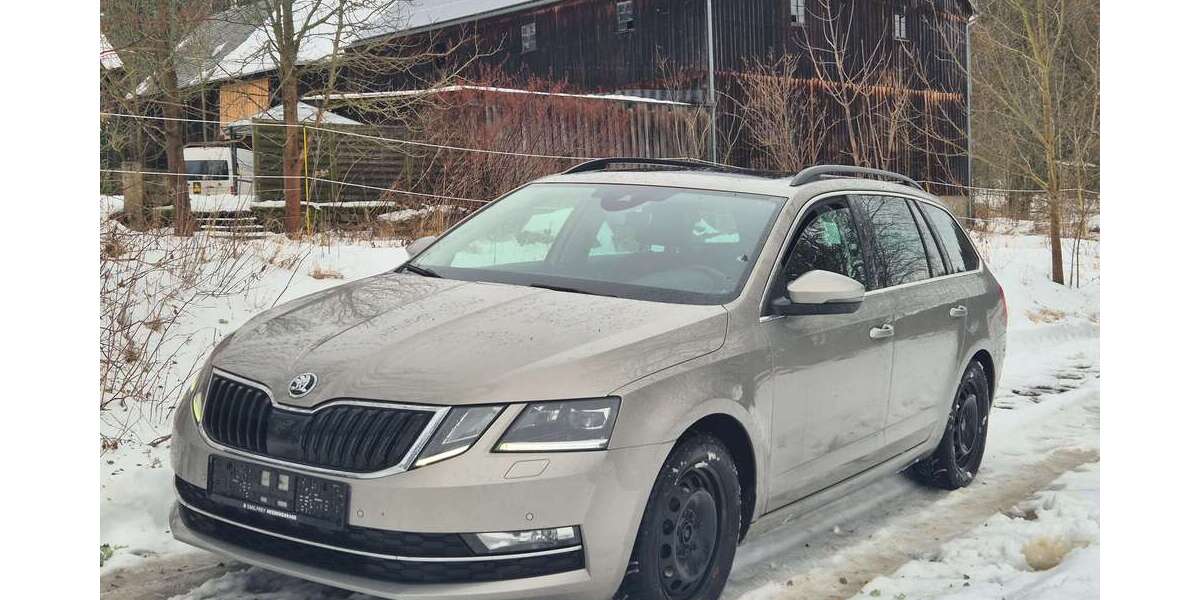 Skoda Octavia 220.000 km 8.989 &euro; Röslau 95195