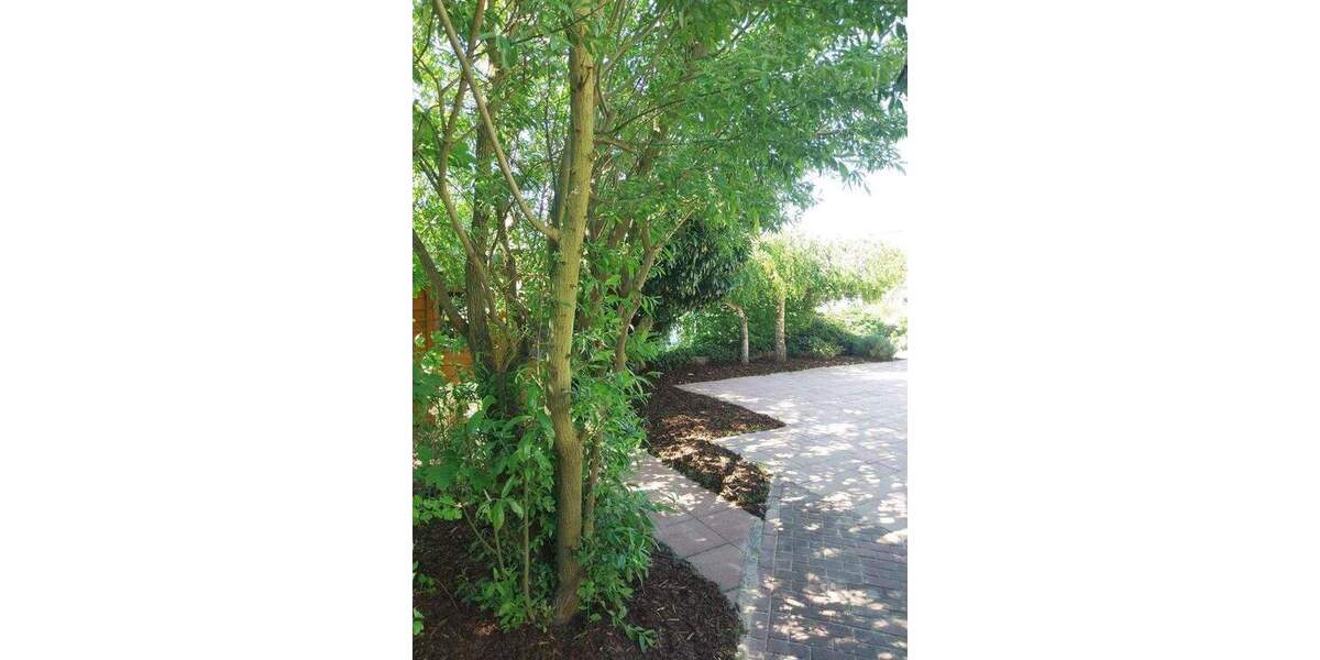 Etagenwohnung Volkach - 3 Zimmer, 88 m&sup2;, 355.000&euro; | Angebot:25712014