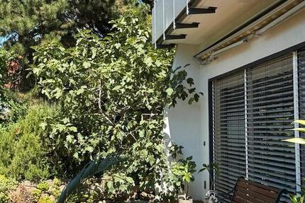 Haus Wörth am Rhein - 13 Zimmer, 340 m&sup2;, 870.000&euro; | Angebot:26824991
