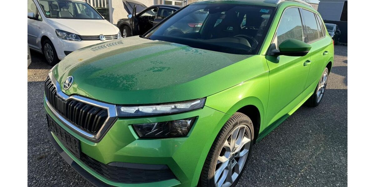 Skoda Kamiq 171.000 km 15.351 € Heidelberg 69123