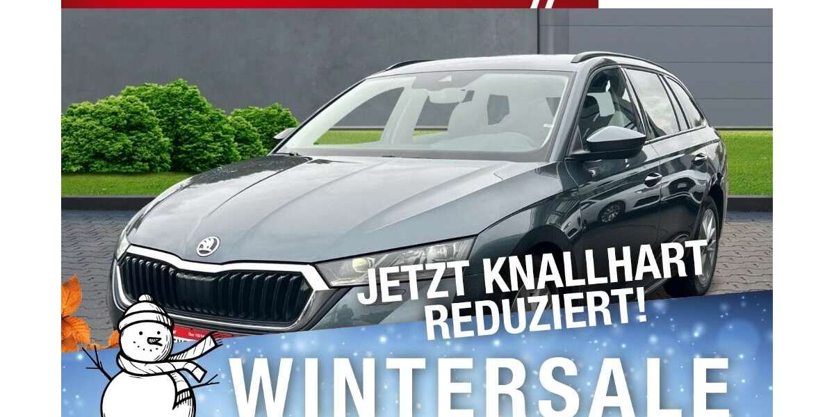 Skoda Octavia 135.932 km 19.318 &euro; Marktredwitz 95615