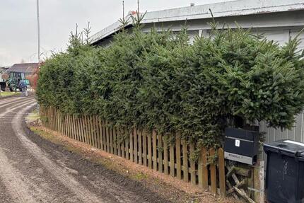 Haus Osterholz-Scharmbeck Scharmbeck - 40.000&euro; | Angebot:24707296