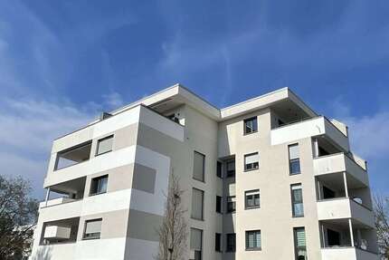 Wohnung Lampertheim - 3 Zimmer, 130 m&sup2;, 589.000&euro; | Angebot:25807202