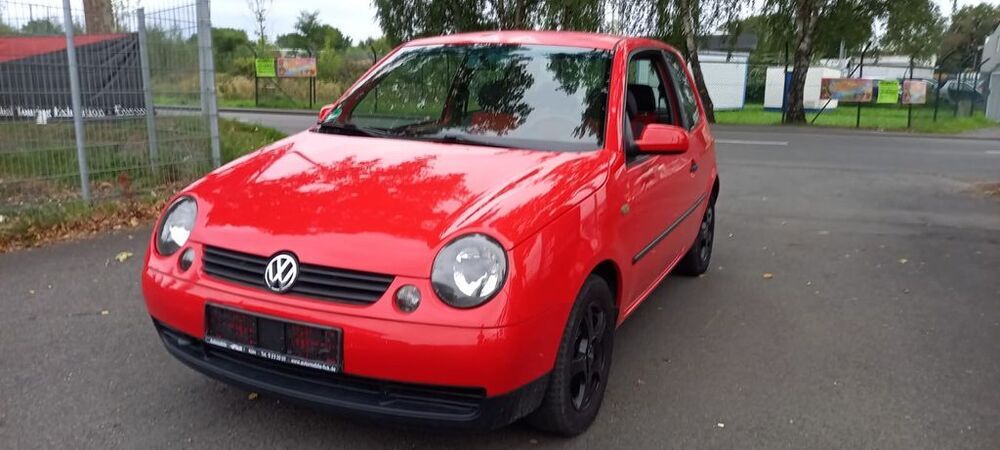 Lupo