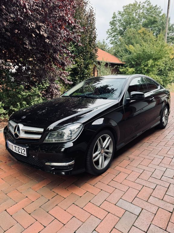 C 250