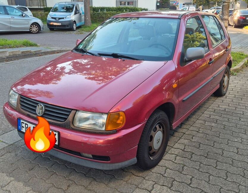 Polo