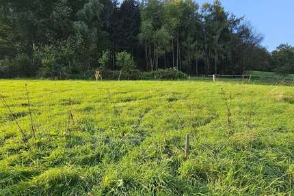 Grundstück zu verkaufen in Erbach 89.000 € 1048 m² zimmer
