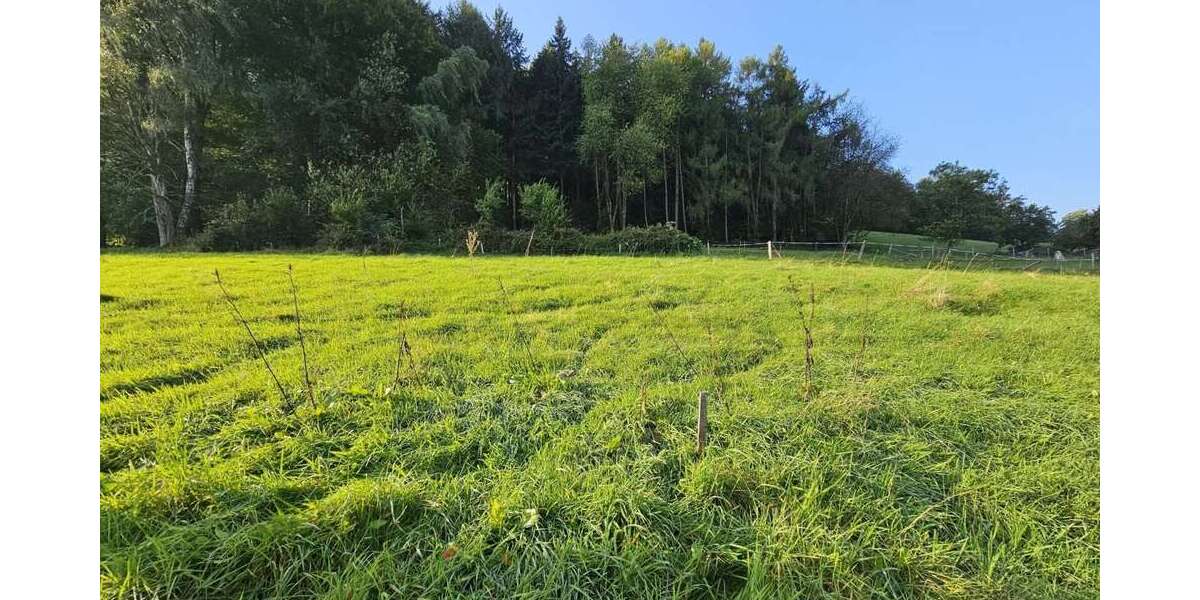 Grundstück zu verkaufen in Erbach 89.000 € 1048 m² zimmer