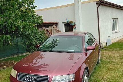 Audi A4 370.000 km 700 &euro; Angermünde 16278