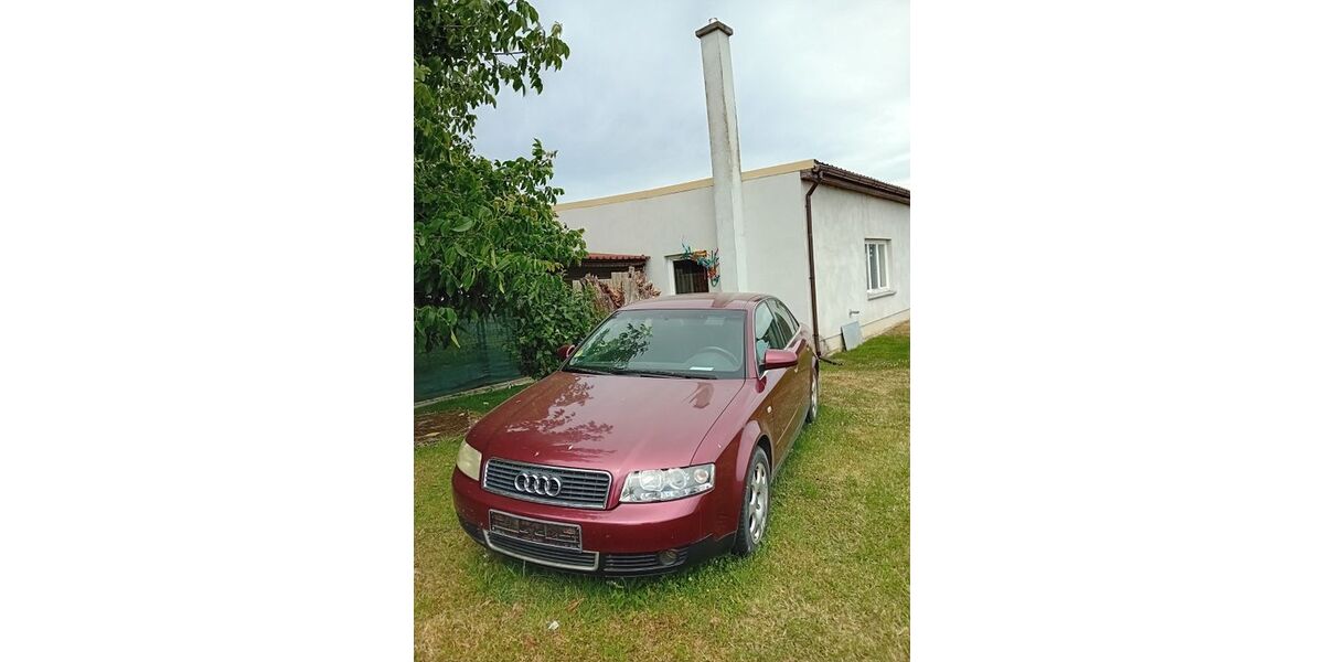 Audi A4 370.000 km 700 &euro; Angermünde 16278