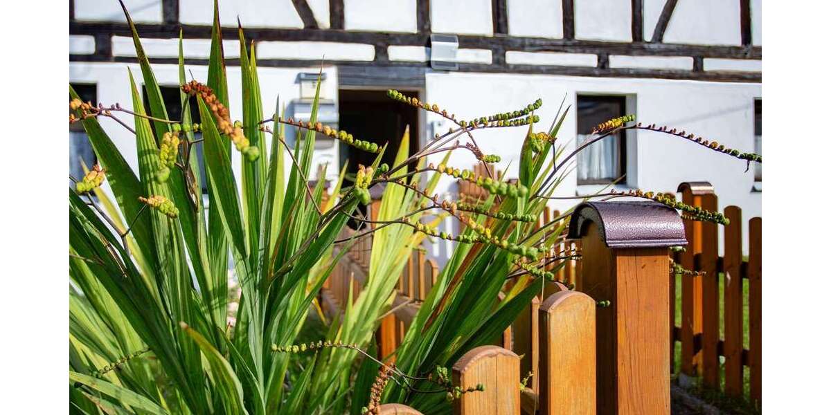 Einfamilienhaus Olbernhau - 5 Zimmer, 83 m&sup2;, 119.000&euro; | Angebot:27540918